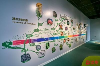 香港科學(xué)館新推生物多樣性展廳 開(kāi)啟奇妙自然探索之旅